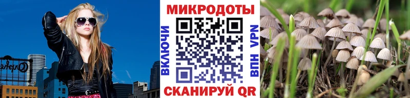 Псилоцибиновые грибы прущие грибы  Купить где  Северская 